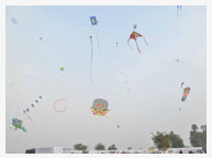 Kite Festival